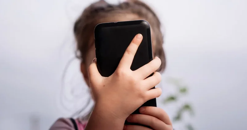 Böyük texnologiya şirkətləri bu qərardan narahatdır