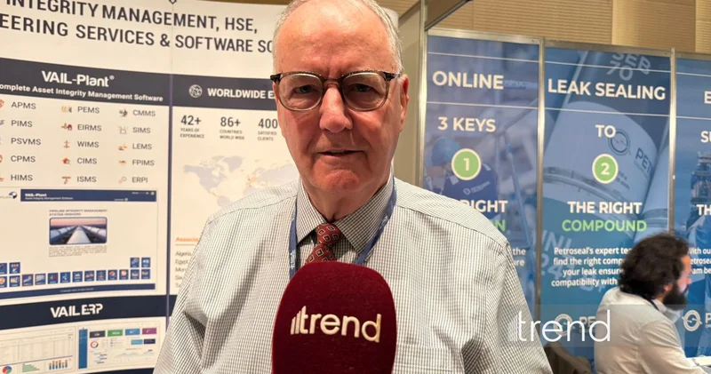 Международная консалтинговая компания изучает возможности сотрудничества с азербайджанскими компаниями