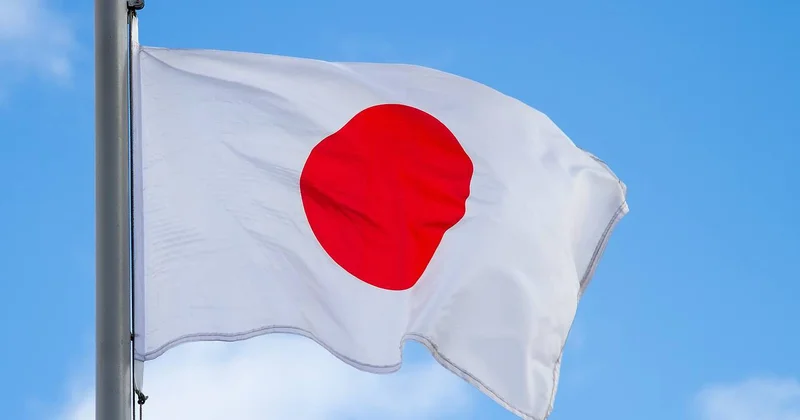 В результате сильного землетрясения в Японии пострадали 30 человек