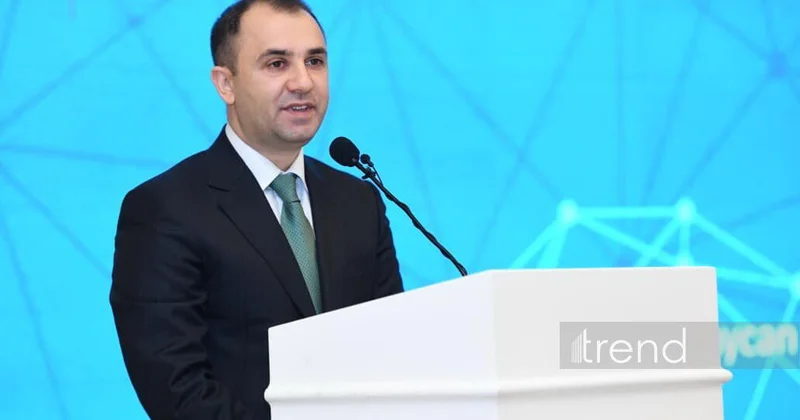 В Азербайджане STEAM образованием охвачено более 300 тысяч студентов замминистра