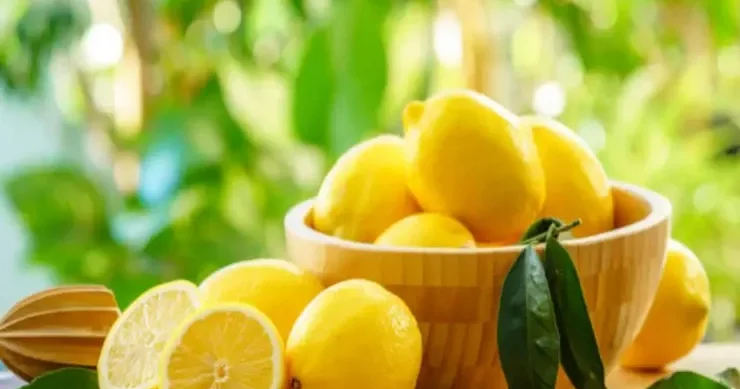 Qoxuya qarşı mübarizə: Bir neçə damcı limon suyu yox edir