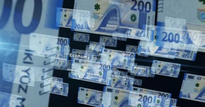 Ödəniş təşkilatı nizamnamə kapitalını 200 min manat artırdı