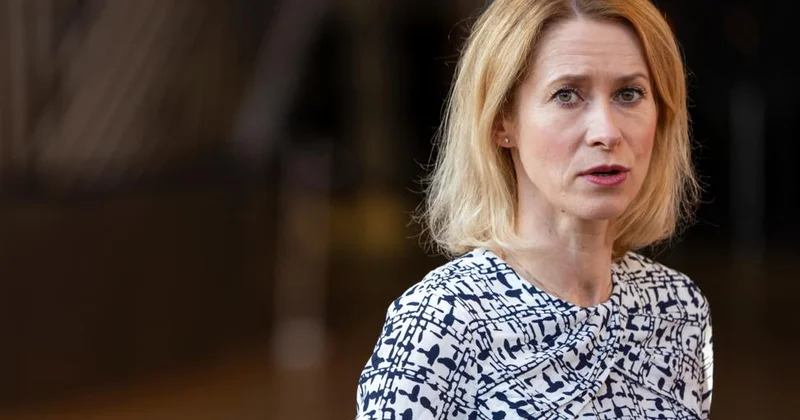 Kallas ABŞ ın Aİ də söz azadlığını pozmaqda ittihamlarını təxribat hesab edir