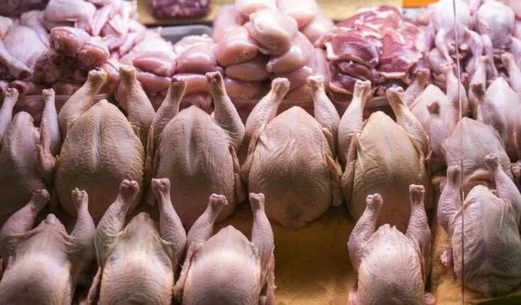 Bu şirkətlərin quş əti məhsullarını almayın! Salmonella aşkarlandı