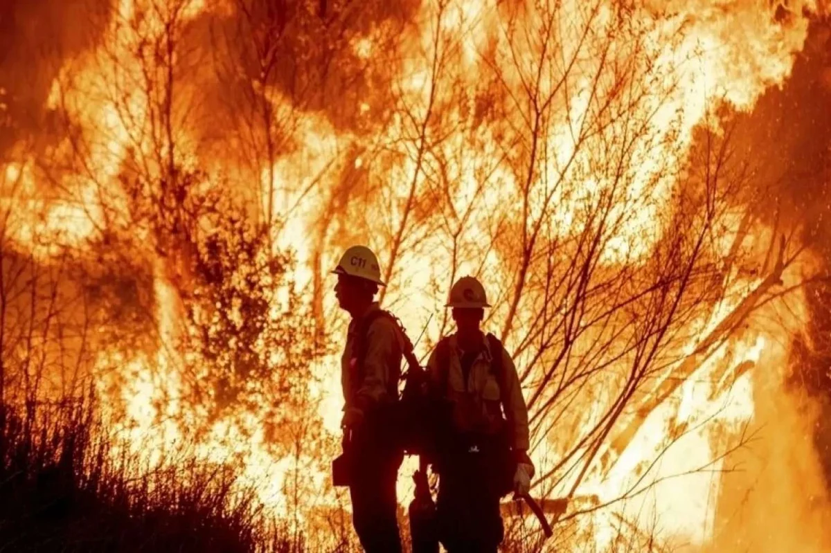 Kaliforniyadakı yanğınlar 150 milyard ziyan vurub FOTO