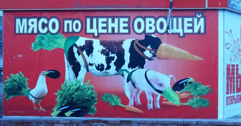 Азербайджанское госагенство призывает жаловаться на рекламное безобразие ОФИЦИАЛЬНО / ФОТО