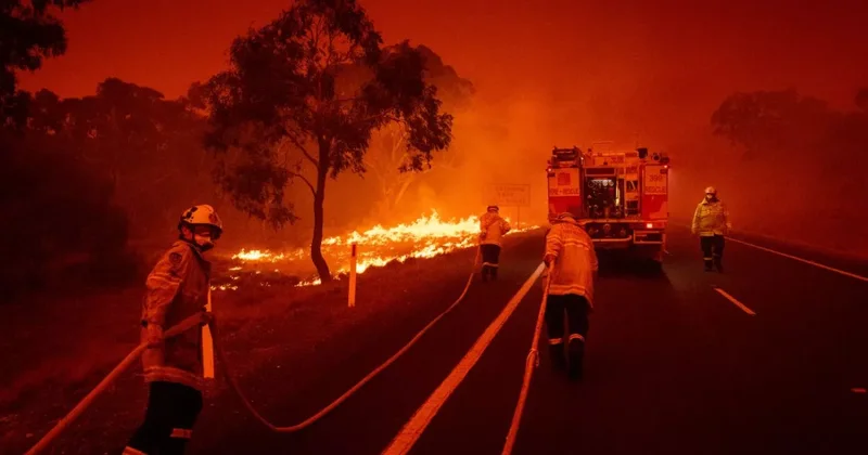 В австралийском штате Виктория объявили режим чрезвычайной ситуации