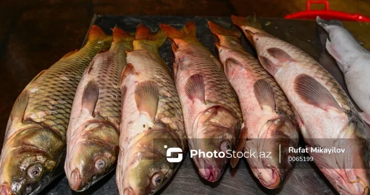 Запасы рыбы в Азербайджане сокращаются на фоне понижения уровня Каспия эксперты