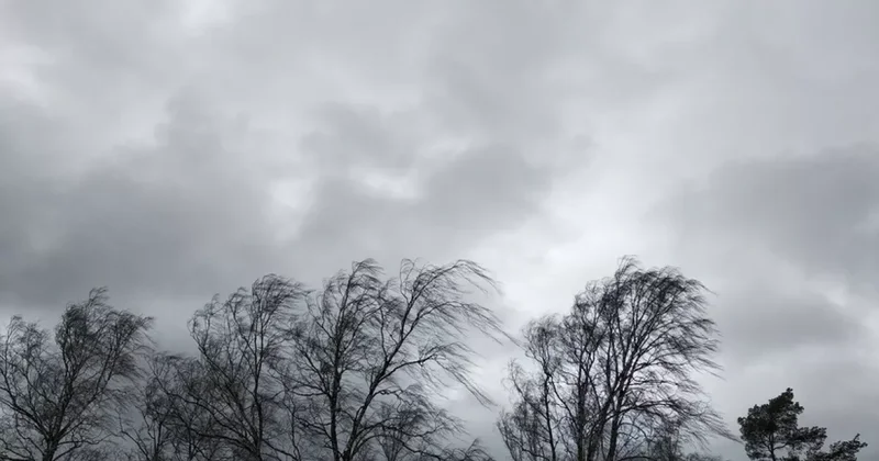 МЧС Азербайджана призывает население к соблюдению мер безопасности в ветреную погоду