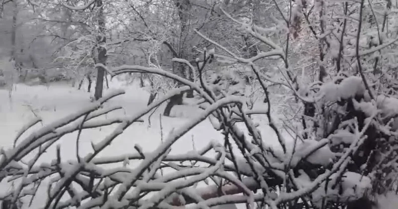 Naxçıvanda qar örtüyünün hündürlüyü 37 santimetrə çatır