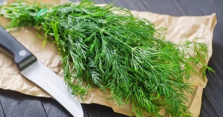 Bu içki sizi arıqladacaq