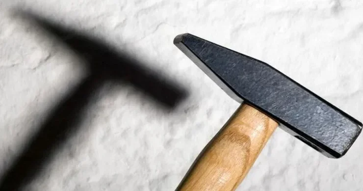 Yeni il gecəsi kişini çəkiclə öldürüb, toyuq hinində gizlətdi