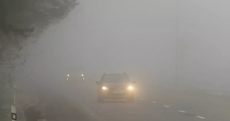 Смерть в тумане: Трагедия азербайджанского водителя ВИДЕО