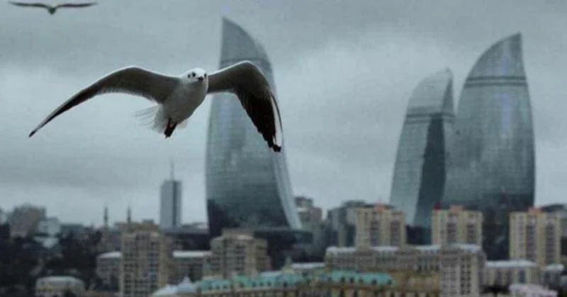 Ветрено и без осадков