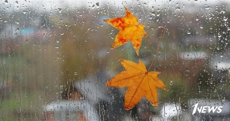 Дожди и ветер ФАКТИЧЕСКАЯ ПОГОДА