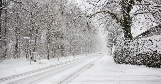 Naxçıvana 37 sm qar yağıb