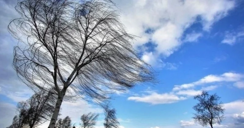 МЧС обратилось к гражданам из за прогнозируемого усиления ветра