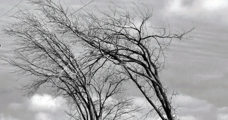 МЧС Азербайджана предупредило население об усилении ветра