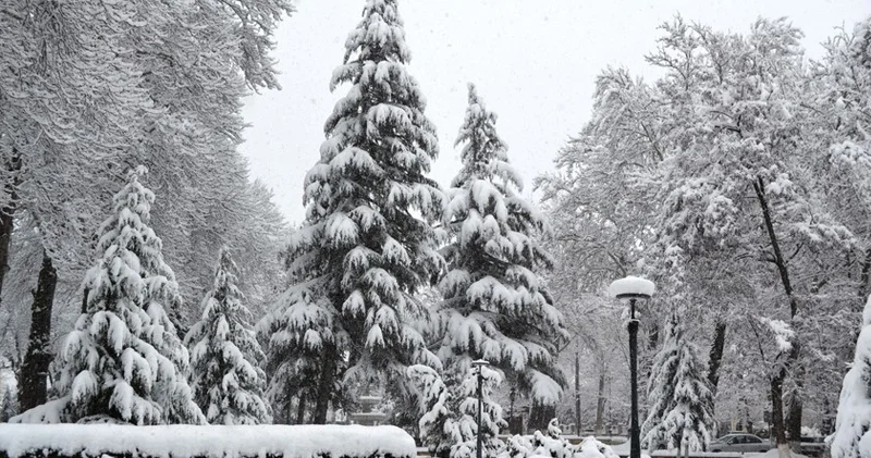 Bu rayonlara qar yağır FAKTİKİ HAVA