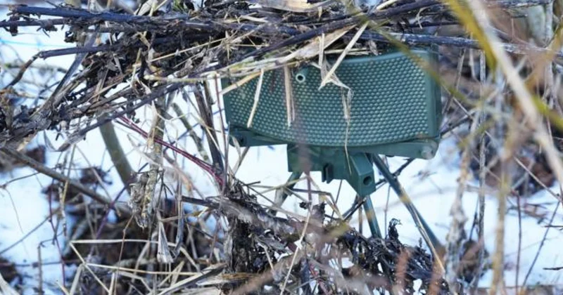 Зеленый свет противопехотным минам Теперь и в Финляндии