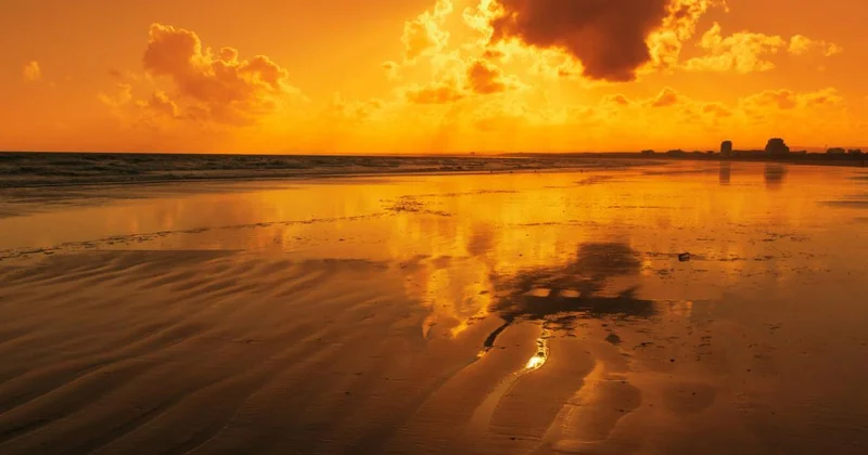 Ученые сделали сенсационное открытие об океане