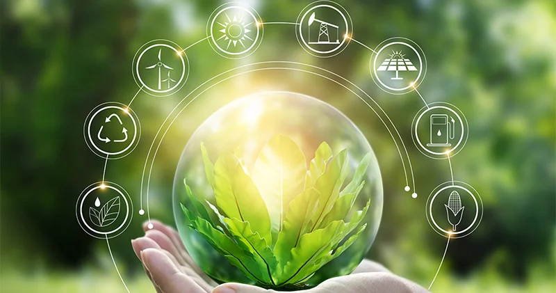 Sahibkarlar üçün yeni gəlir modeli