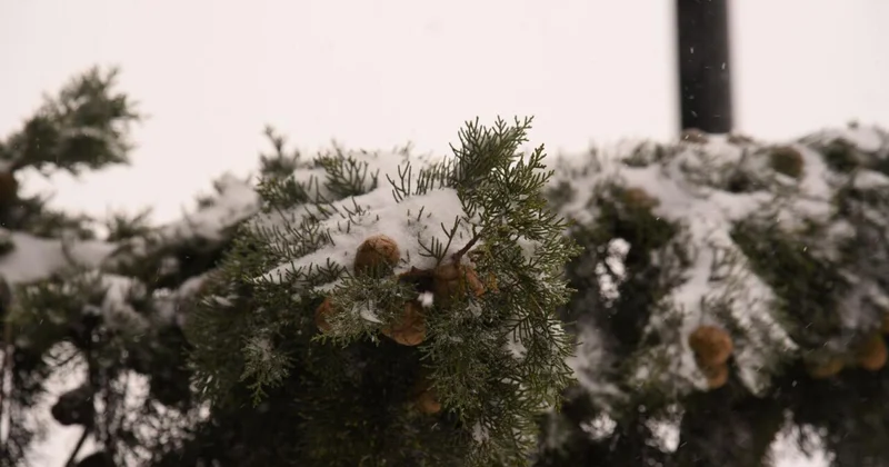 В ряде районов идет снег