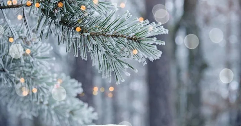 ƏHALİYƏ XƏBƏRDARLIQ: Bu tarixdə Bakıya güclü qar yağacaq KONKRET
