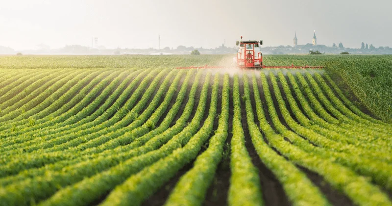 Azərbaycanda 17 milyon manatlıq qarğıdalı emalı müəssisəsi ləğv edilir