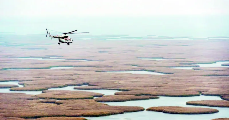 Xəzər, bizdən uzaqlaşma!