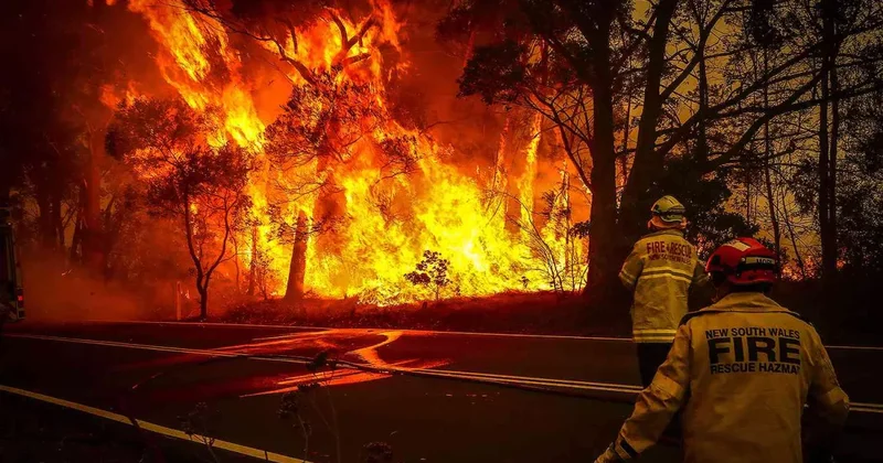 Австралию охватили масштабные пожары: десятки тысяч домов без света, есть пропавшие