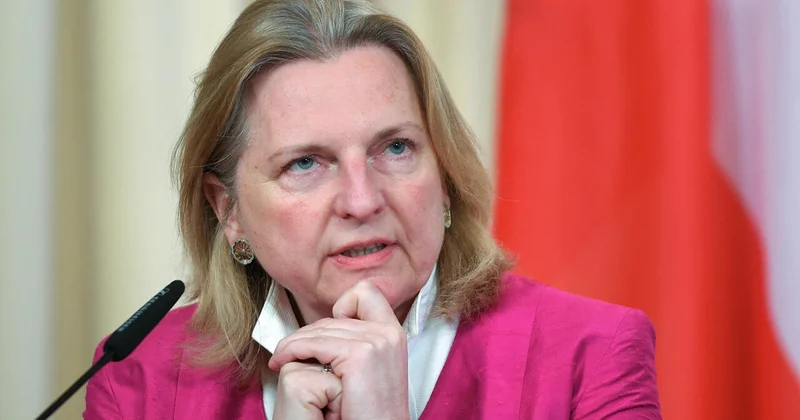 В Австрии оценили кризис Европы