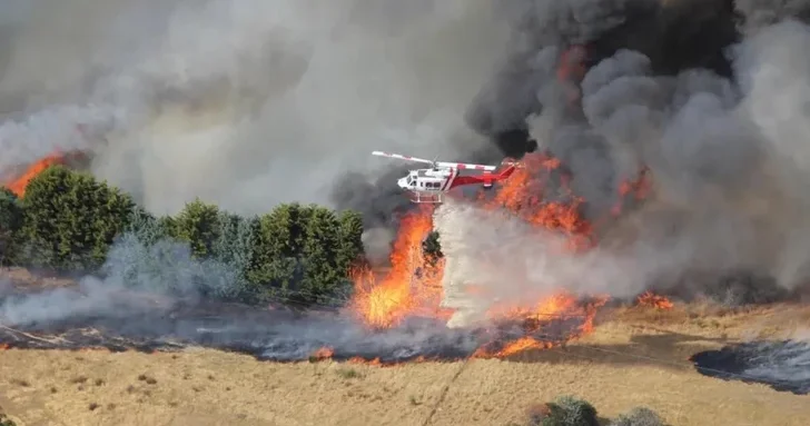 Жара спровоцировала экологическую катастрофу в Австралии