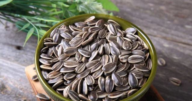 Günəbaxan tumu kökəldir ya arıqladır?.. KONKRET