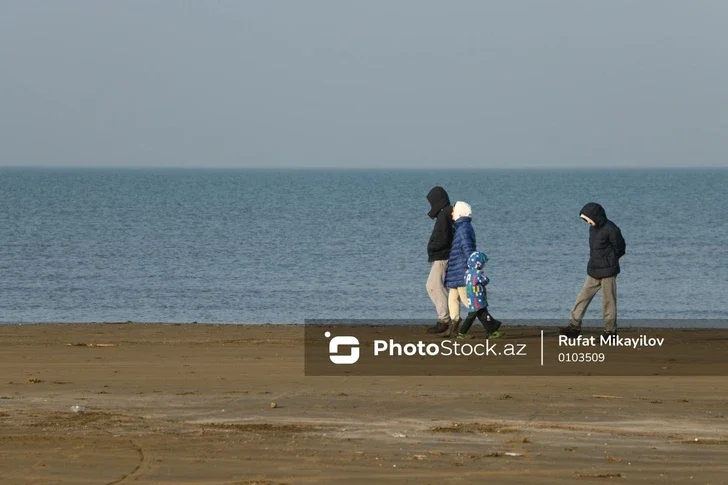 Уединение и покой: зимние пейзажи Бузовнинского побережья ФОТОРЕПОРТАЖ