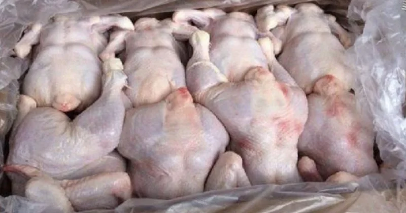 Türkiyədə toyuq əti bahalaşdı, ixracı yasaqlandı Azərbaycanda vəziyyət necədir?