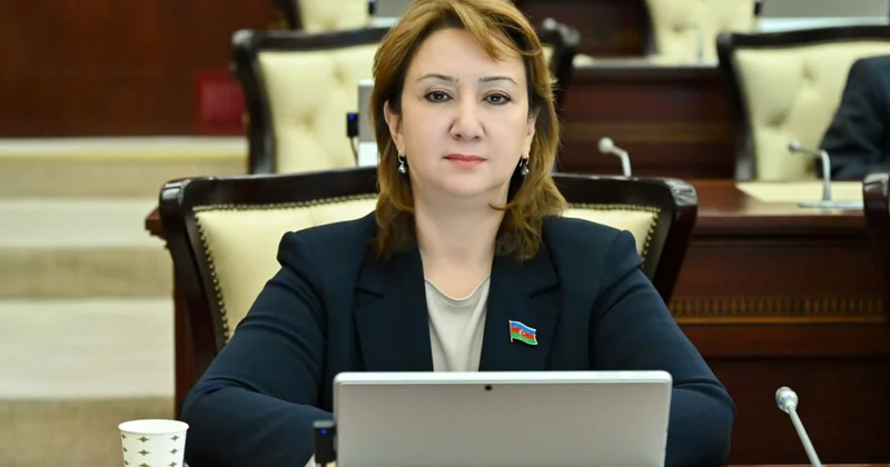 Müasir risklər və uşaq hüquqlarının qorunması ŞƏRH