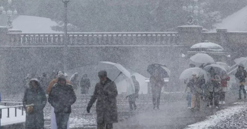 Число погибших из за снегопадов в Японии возросло до 46