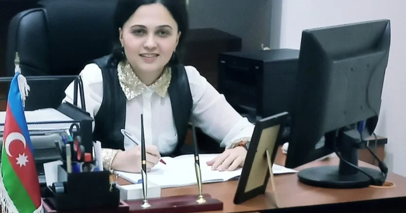 İqtisadi əməkdaşlıq modeli ŞƏRH
