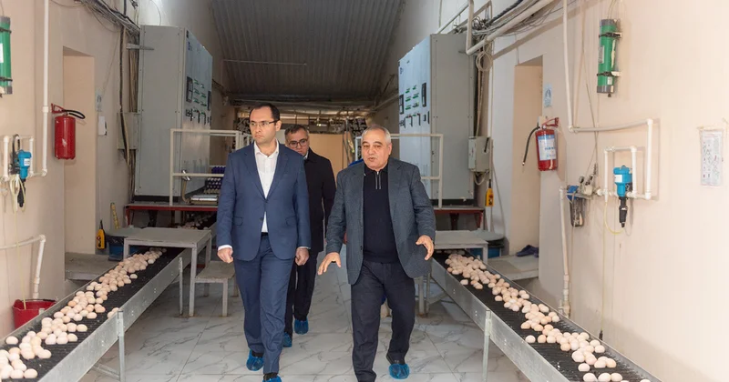 Nazir quşçuluq müəssisələrinin fəaliyyəti ilə tanış oldu Fotolar