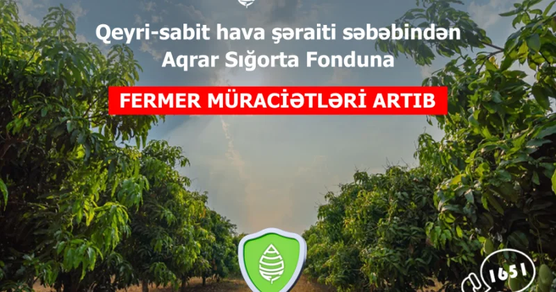 Qeyri sabit hava şəraiti səbəbindən Aqrar Sığorta Fonduna müraciətlər artıb