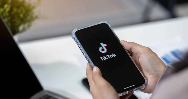 За оскорбления в TikTok житель Сабирабада получил штраф