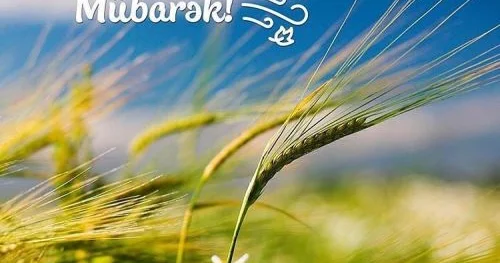 Yel həm dağıdıcı, həm də canverici qüvvədir AYDINLIQ GƏTİRİLDİ
