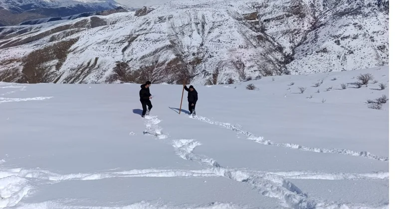 Böyük və Kiçik Qafqazda 36 marşrut üzrə qarölçmə işləri aparılır FOTO