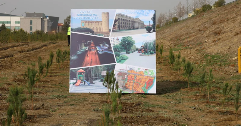 Yevlaxda keçirilən aksiyada 1000 ədəd ağac əkilib