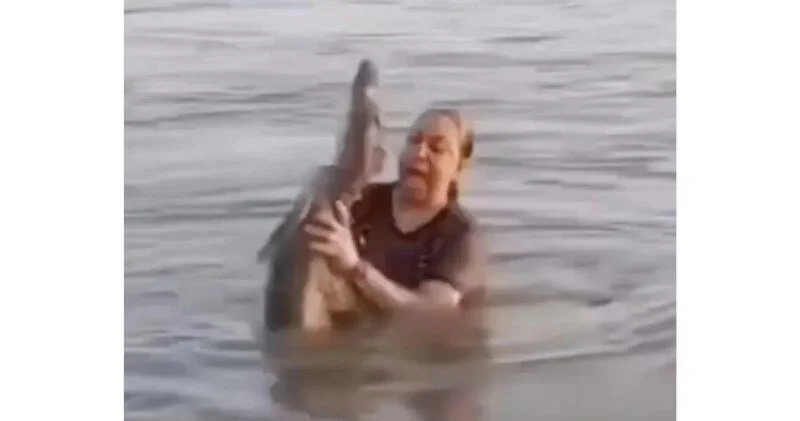 Женщина перепутала бревно в воде с аллигатором и попала на видео
