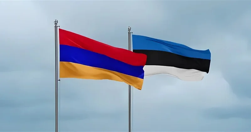 Эстония готова поделиться с Арменией опытом в сфере кибербезопасности в преддверии выборов
