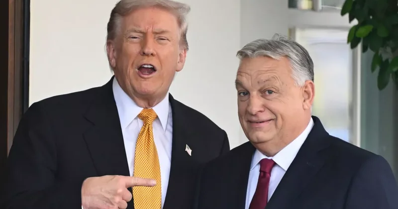 Трамп: Венгрия, идите и голосуйте за Орбана