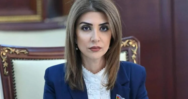 Azərbaycanın və Vyetnamın uğurlu əməkdaşlıq etmək potensialı mövcuddur ŞƏRH