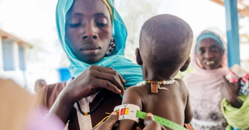 BMT: Qərbi və Mərkəzi Afrikada 50 milyona yaxın insan aclıq riski altındadır